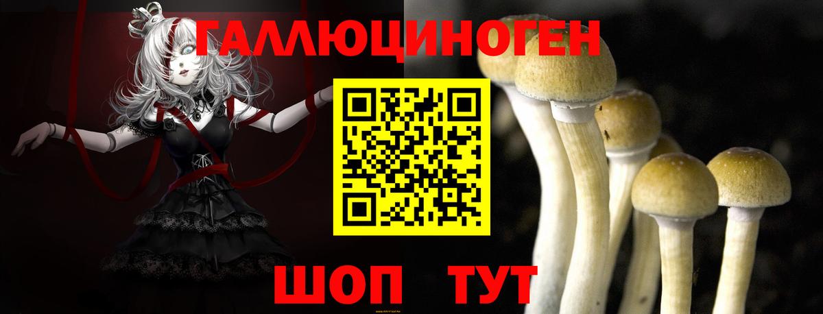 Видное  Псилоцибиновые грибы мицелий  Вход с VPN  Галлюциногенные грибы мицелий 